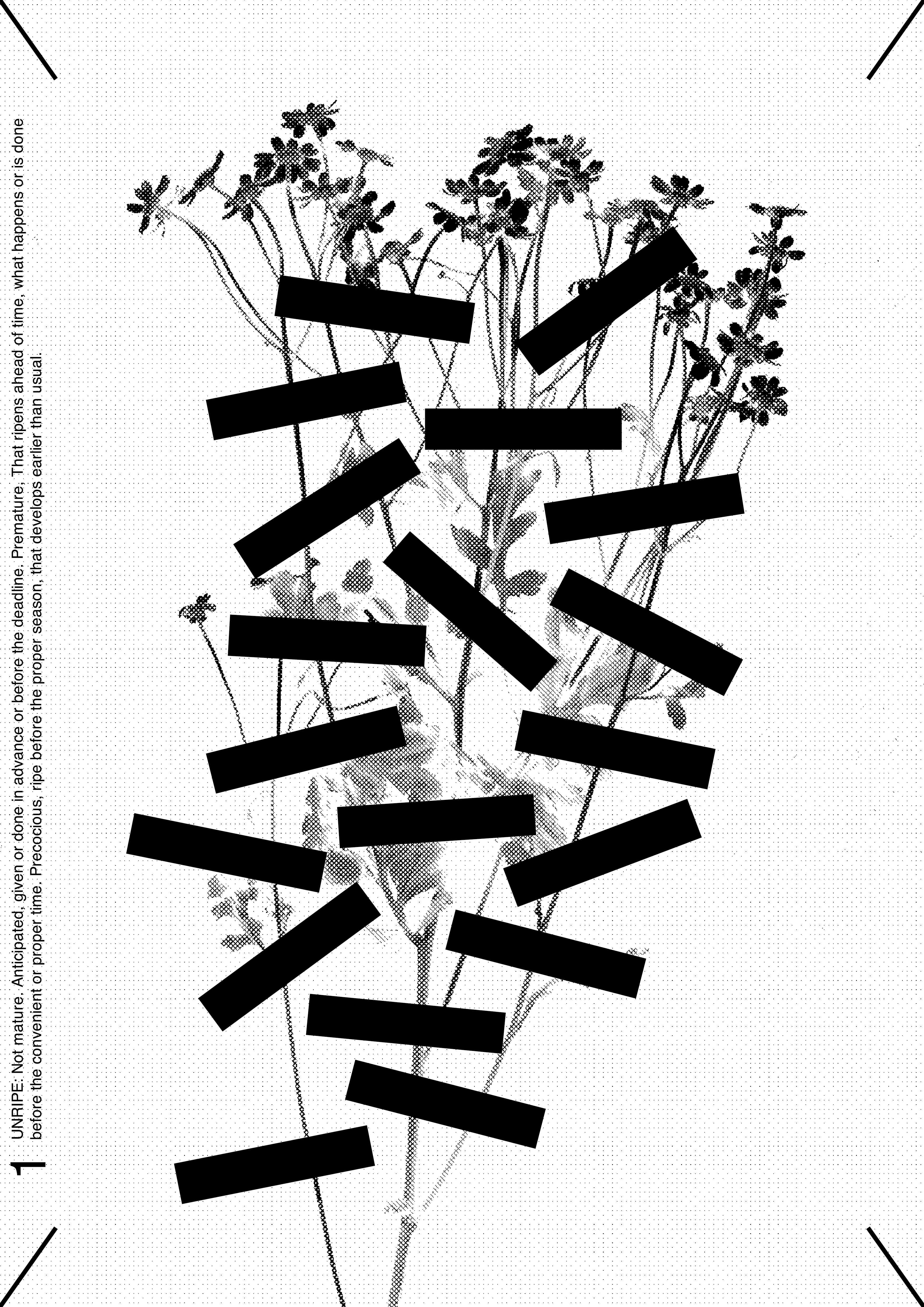 idk-24_2
