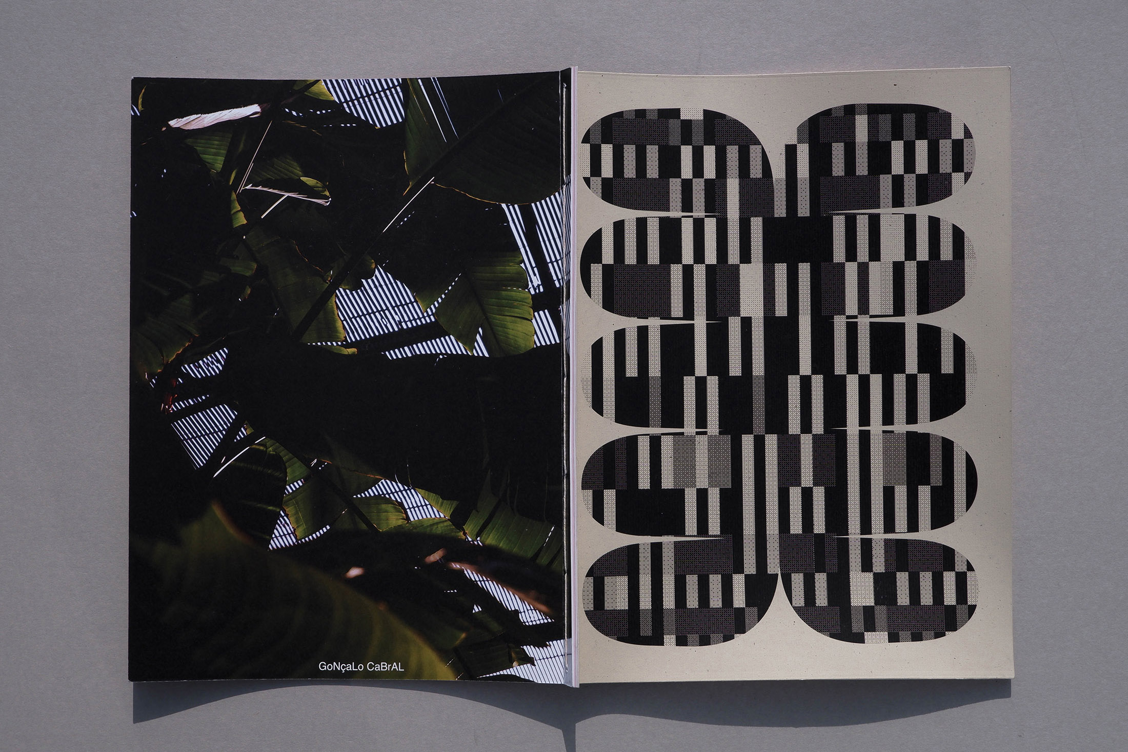 SENSES HERBARIUM